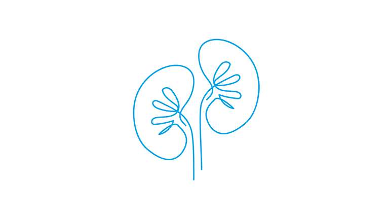NEPHROLOGY